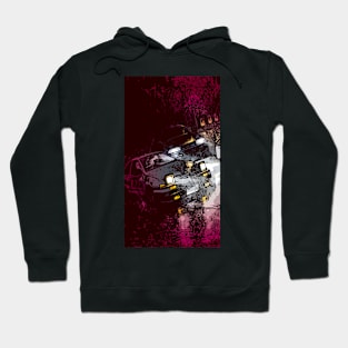 AE86 Colorama Hoodie